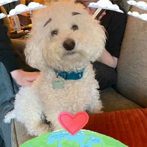 Meet your Posher, Kris